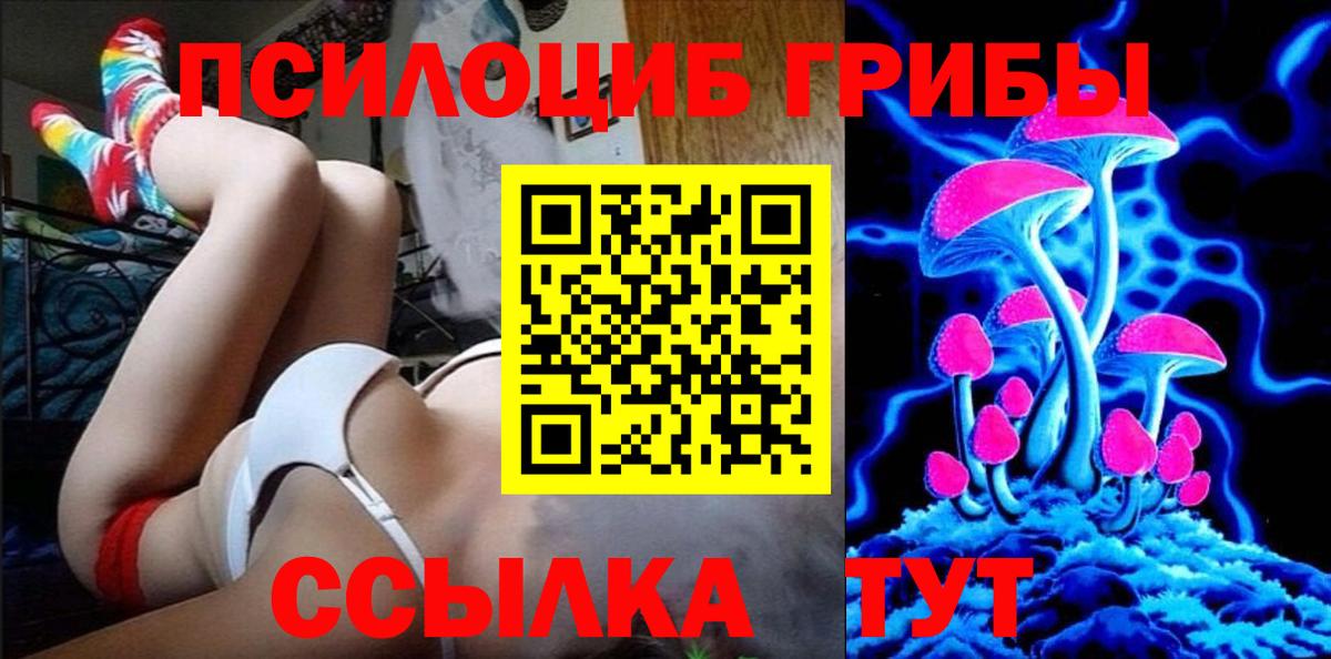 Галлюциногенные грибы Psilocybe Елец