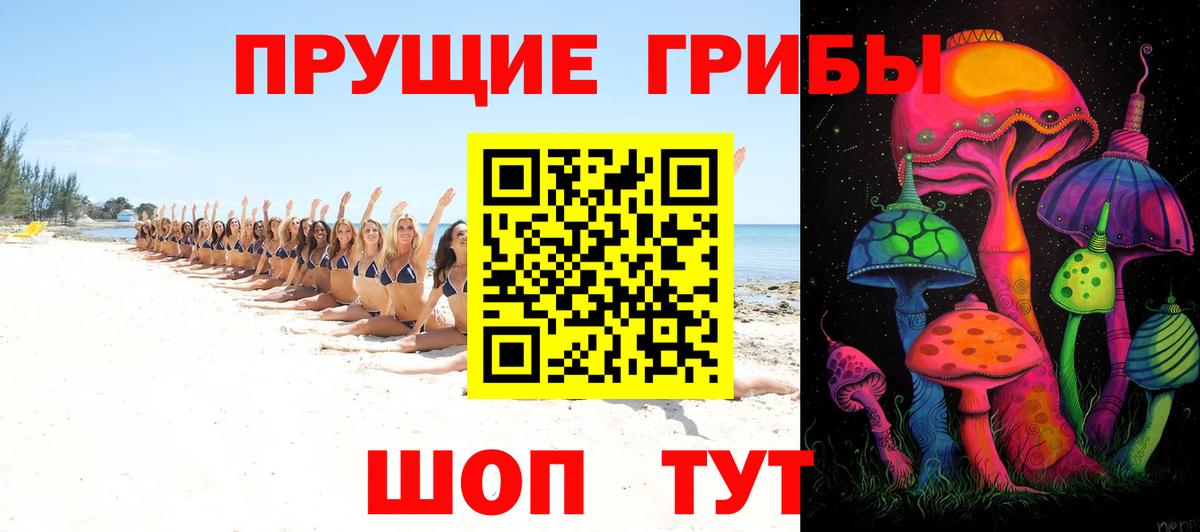 Псилоцибиновые грибы GOLDEN TEACHER  Вход с VPN  наркота  Елец  Псилоцибиновые грибы Cubensis 