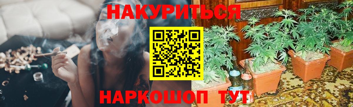 Елец  Бошки Шишки конопля  Каннабис Amnesia  Вход с VPN  Канабис конопля 